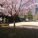 回顧録。七つの星に変わる。
