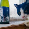 【日本酒】アルコールのパンチが強い。あとあんこがかっこいい。「サビ猫ロック 銀サビ」の感想。