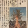 今日の新聞では