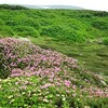 7月30日　再度黒岳へ・・・！