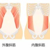 腹筋といっても色々な部位がある？各部位の鍛え方(6−3)