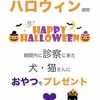 ハロウィンプレゼント終了しました🎃⭐︎