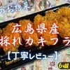 カスミのお惣菜『広島県産 春採れカキフライ』は火入れしっかりのザクザク系でした【丁寧レビュー】