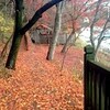 塩原紅葉