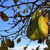 選んでいないものを受け入れる覚悟と、想像以上の恩恵を受けとることは、表裏一体。