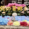 岡寺の紫陽花ライド♬