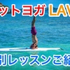 ホットヨガLAVA【特別レッスン（新感覚プログラム）】3つをご紹介｜他にもたくさんあります