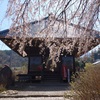 松本市内田地区の桜巡り