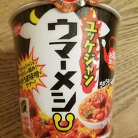 新製品 日清 スパイスカレー カレーメシ おしゃれチキン の実食した感想 胃を切った人はほどほどに 食べるをいかすライオン