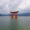 広島旅行2025（1泊2日）　3月に子供たちと広島でお好み焼きと牡蠣を食べまくった記録