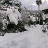 ドカ雪　’24