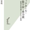 ブラックホール・膨張宇宙・重力波