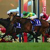 【有馬記念 2017 ファン投票 予想オッズ 出走予定馬】キタサンブラック、シュヴァルグラン、レイデオロ、など