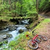 山伏峠〜林道西沢線〜林道東沢線〜林道道坂菜畑線〜道志みち旧道ぶらり旅