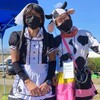 ズイフトGR1本