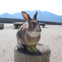 ふみをかく。