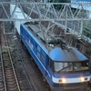 1095レ 鹿島貨物(EF210-136) 【スマホ動画】