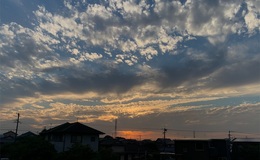 記事を見る