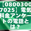 【08003007025】電気料金アンケートの電話とは？報告内容と安全な対処法