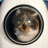 なな、宇宙へ行く。