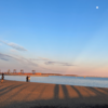 #183　城南島海浜公園2026