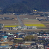 鴨川市の菜な畑ロード