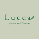 Lucca  plants & flowers
