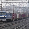 3月24日撮影　東海道線　平塚～大磯間　ダイヤ改正後　初の貨物列車撮影