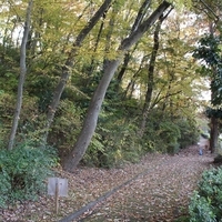 出羽山砦　（東京都　八王子市）　　八王子城の出城と伝わる城郭遺構