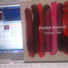 Prefab Sprout新作