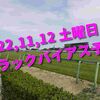 2022,11,12 土曜日 トラックバイアス予想 (東京競馬場、阪神競馬場、福島競馬場)