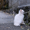 玉河日記