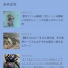 【個人ブログ×オワコン】釣りブログはGoogleコアアップデートで全滅したのか？