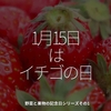 1529食目「1月15日はイチゴの日」野菜と果物の記念日シリーズその1