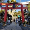 絶景伊豆ドライブへ行こう(白濱神社～爪木崎編)