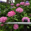 久々の大階段の後にご褒美があった。