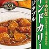 カレーをストローで吸ってみた感想