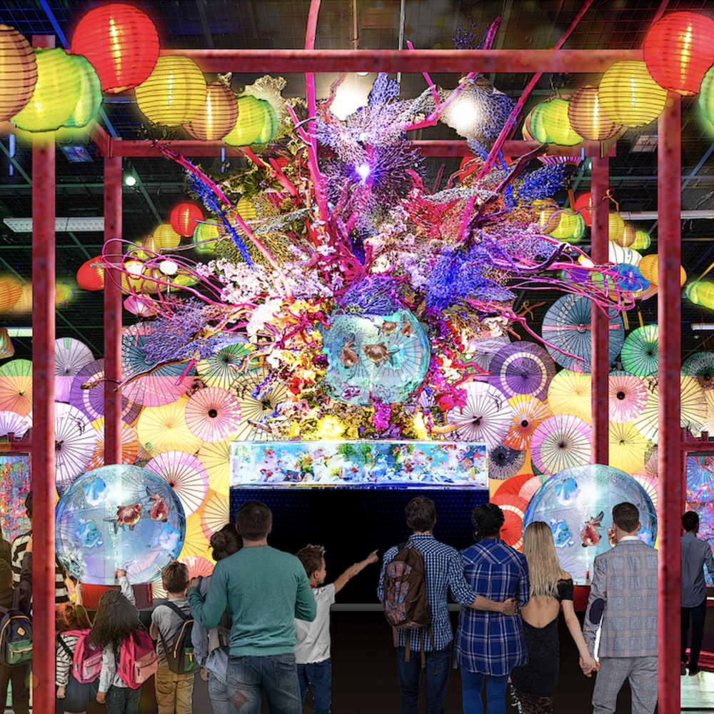 「錦鯉・金魚アクアリウム in ときメッセ 」水と光が織りなす夏の幻想体験へ