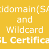 CANNOT issue certificates of multi domain and wild card