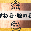 【なぜ】すね毛や腕の毛が「金色」になる理由は紫外線だった？