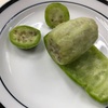 サボテンは野菜なのか果物なのか？