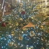  クリスマスツリー