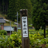 奈良曽爾村の伊勢本街道山粕宿のめだか街道へ。各家々で飼育しているメダカを購入。