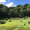 山陰旅行①。山口・常栄寺雪舟庭と南溟庭、松田屋ホテル庭園、山水園庭園と「西の京」山口の町並み…と沢山のご当地マンホール