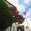 来年に備えて
