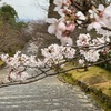 桜の季節の古都は特に好き