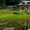 パソコントラブルと谷戸山公園