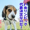 ニャンズが待ってるから急ぐのだ！