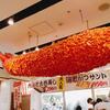 【名古屋】日本一の特大エビフライが味わえる「海老どて食堂」
