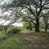 南浅川緑地（東京都八王子市）